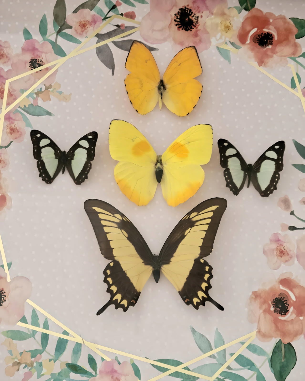 Handmade Framed Butterfly Shadowbox