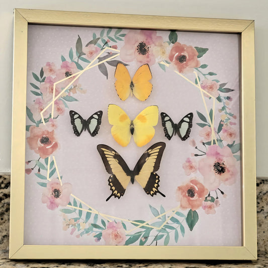 Handmade Framed Butterfly Shadowbox